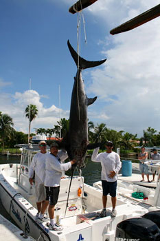 Large swordfish caught offshore from Miami